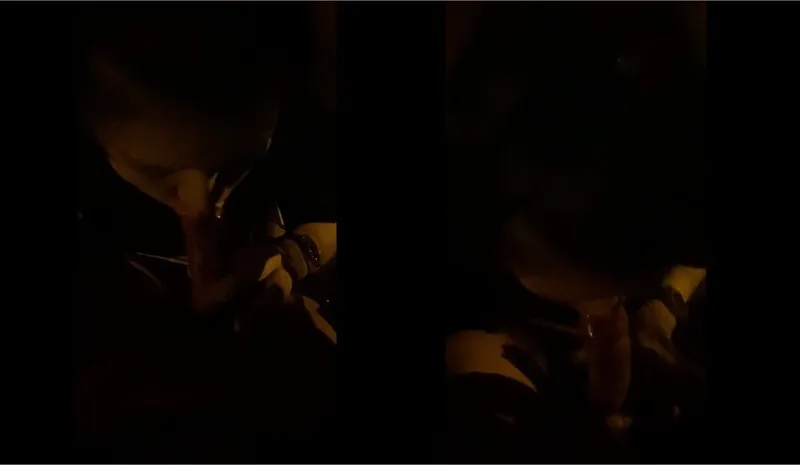 Cho gấu dâm mút cò trong công viên